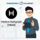 Hedera Hashgraph (HBAR) Listing di Indodax Pekan Ini