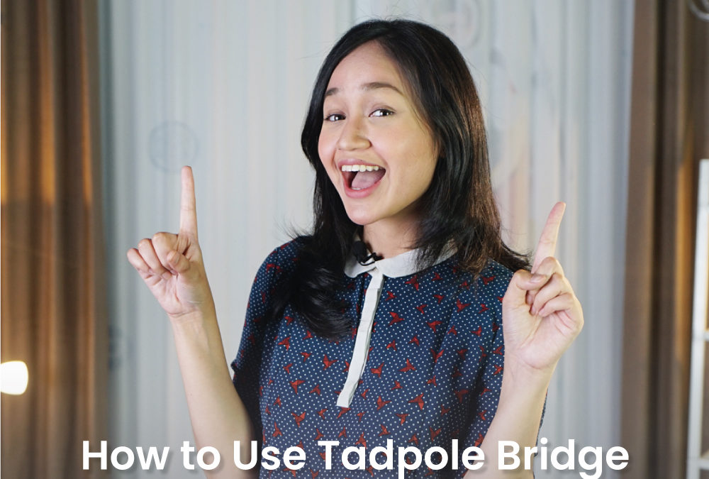 Thumbnail How to Use Tadpole Bridge 2